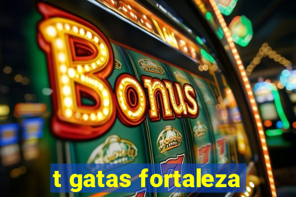 t gatas fortaleza